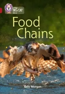 Image of Food Chains : Band 14/Ruby