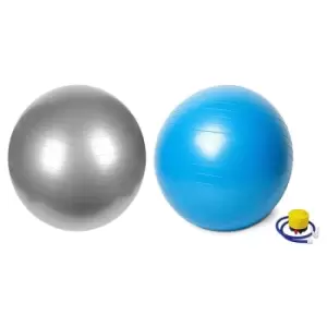 Image of Vector X Swiss Gym Ball 55cm