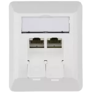 Image of Telegaertner Network outlet Surface-mount CAT 6A 2 ports Alpine white