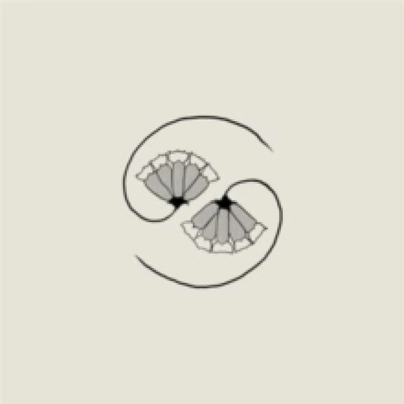 Image of G_d'S Pee at State'S End! CD / Album