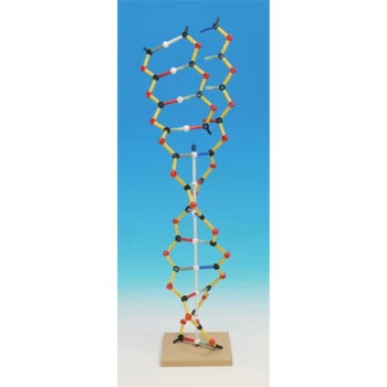 Image of Cochranes Of Oxford DNA-RNA Orbit Kit - 146 Piece Set - Assembled ...