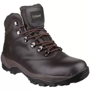 Image of Cotswold Womens/Ladies Winstone Lace Up Boots (4 UK) (Brown) - Brown