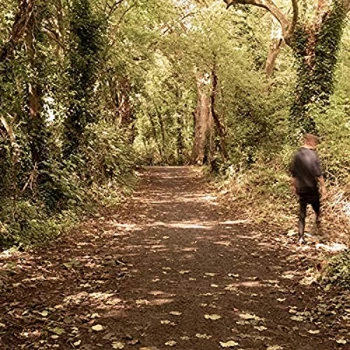 Image of Paddy Mulcahy - How To Disappear Vinyl