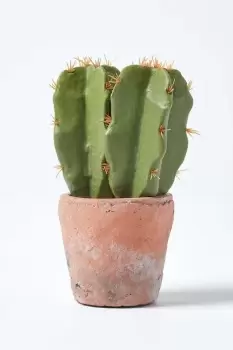 Image of Small Artificial Cactus in Terracotta Pot, 17cm Tall