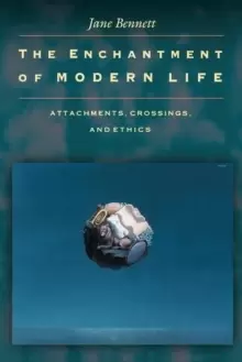 Image of The Enchantment of Modern Life : Attachments, Crossings, and Ethics