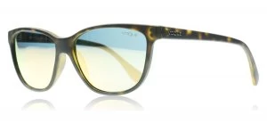 Image of Vogue VO2729S Sunglasses Matte Dark Havana W656R5 57mm