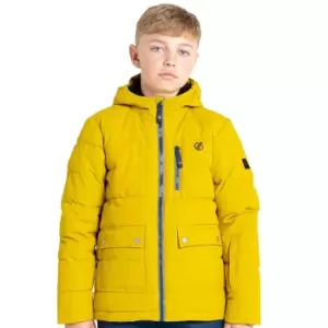 Image of Dare 2b Boys Folly Waterproof Breathable Padded Coat 7-8 Years- Chest 26', (66cm)