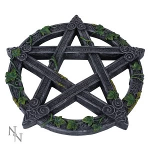 Image of Wiccan Pentagram Wall Plaque