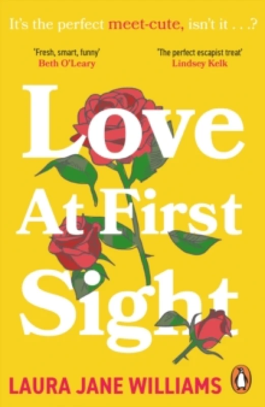 Image of Love at First Sight Paperback / softback
