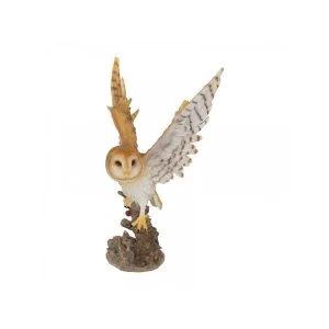 Image of Forest Flight Owl Statue