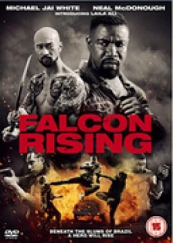 Image of Falcon Rising