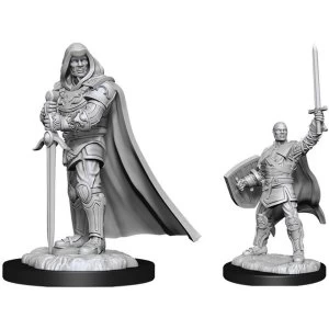 Image of D&D Nolzur's Marvelous Unpainted Miniatures (W13) Human Paladin Male