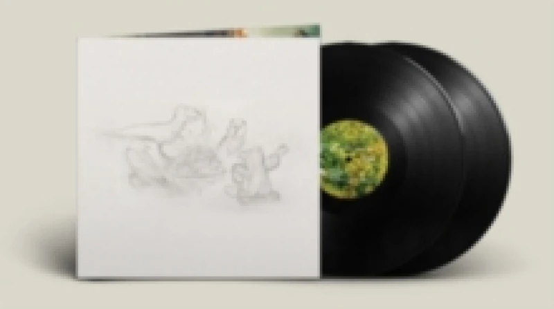 Image of Dragon New Warm Mountain I Believe in You Vinyl