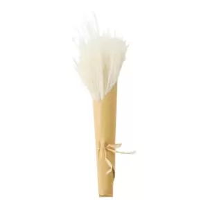 Image of Gallery Interiors Clark Dried Reed Grass Bundle Paper Wrap White / Small