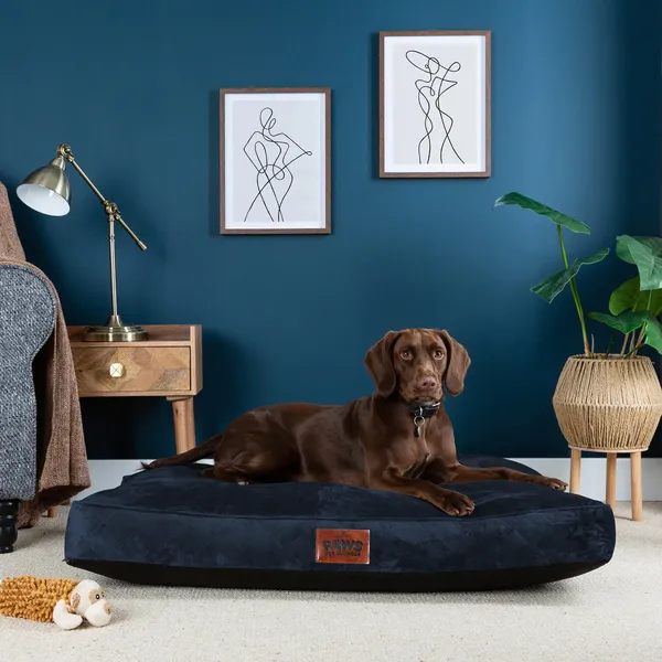 Image of Paws For Slumber Paws For Slumber Luxury Navy Pet Bed-Extra Large