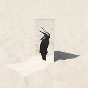 Image of Penguin Cafe - The Imperfect Sea Vinyl