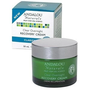 Image of Andalou Naturals Clarifying Clear Overnight Clarifying Recovery Cream 50ml