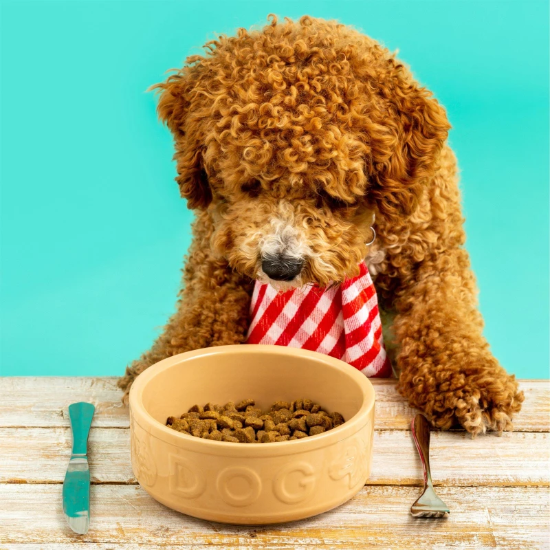 Image of Mason Cash 15cm Cane Dog Bowl Set Dog Bowls 15cm Beige 71077604000