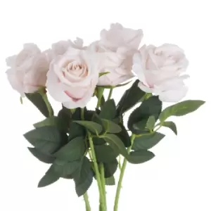 Image of Pink Cream Tea Rose