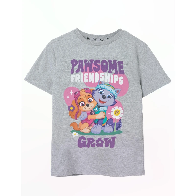 Image of Paw Patrol Short Sleeved T-Shirt Grey unisex