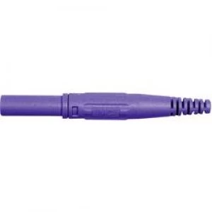 Image of Jack plug Plug straight Pin diameter 4mm Violet Staeubli