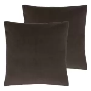 Image of Sunningdale Twin Pack Polyester Filled Cushions