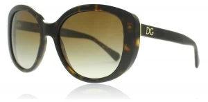 Image of Dolce & Gabbana DG4248 Sunglasses Havana 502/T5 Polariserade 55mm
