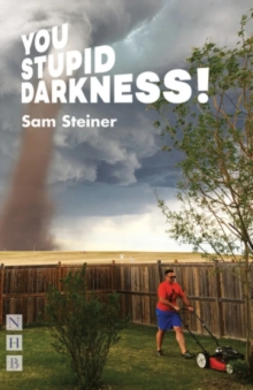 Image of You Stupid Darkness! Paperback / softback