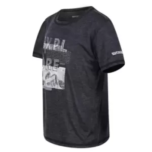 Image of Regatta Alvarado VI T-Shirt - Grey