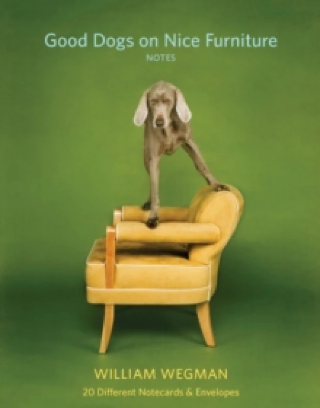 Image of Good Dogs on Nice Furniture Notes : 20 Different Notecards & Envelopes Cards