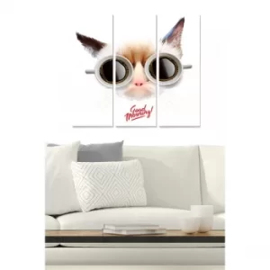 Image of MDF292458596 Multicolor Decorative MDF Painting (3 Pieces)