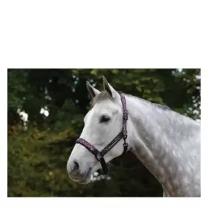 Image of Weatherbeeta Leopard Headcollar - Pink