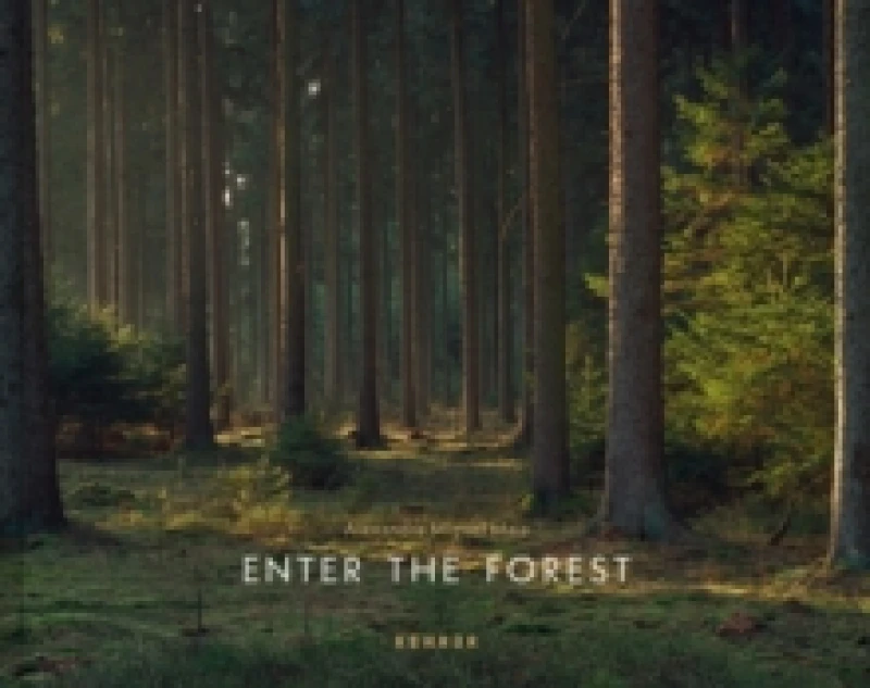 Image of Enter the Forest Hardback