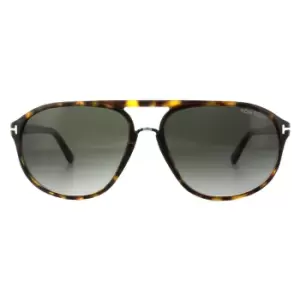 Image of Aviator Dark Havana Smoke Grey Gradient Sunglasses