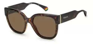 Image of Polaroid Sunglasses PLD 6167/S 086/SP