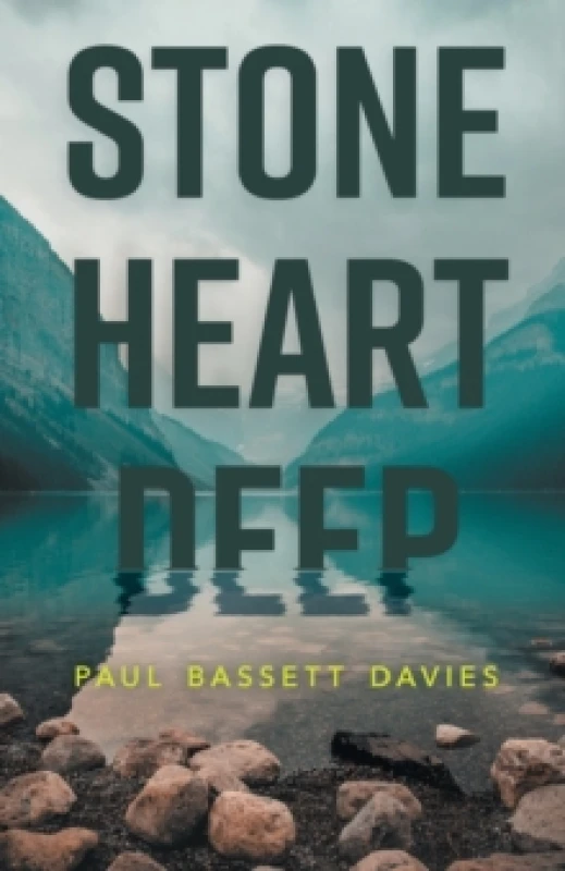 Image of Stone Heart Deep Paperback / softback
