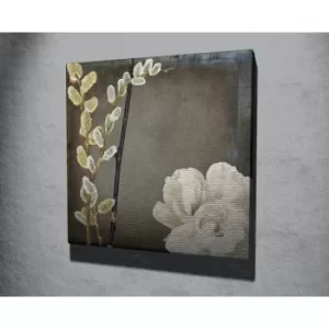 Image of KC243 Multicolor Decorative Canvas Painting