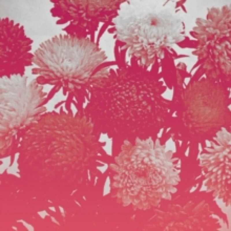 Image of Broken things Vinyl