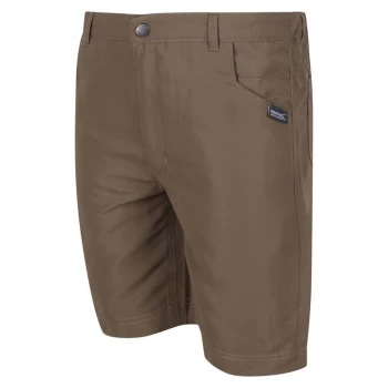 Image of Regatta Sorcer Shorts II - Grey