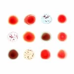 Image of Peter Gabriel - Scratch My Back/And I'll Scratch Yours (Music CD)