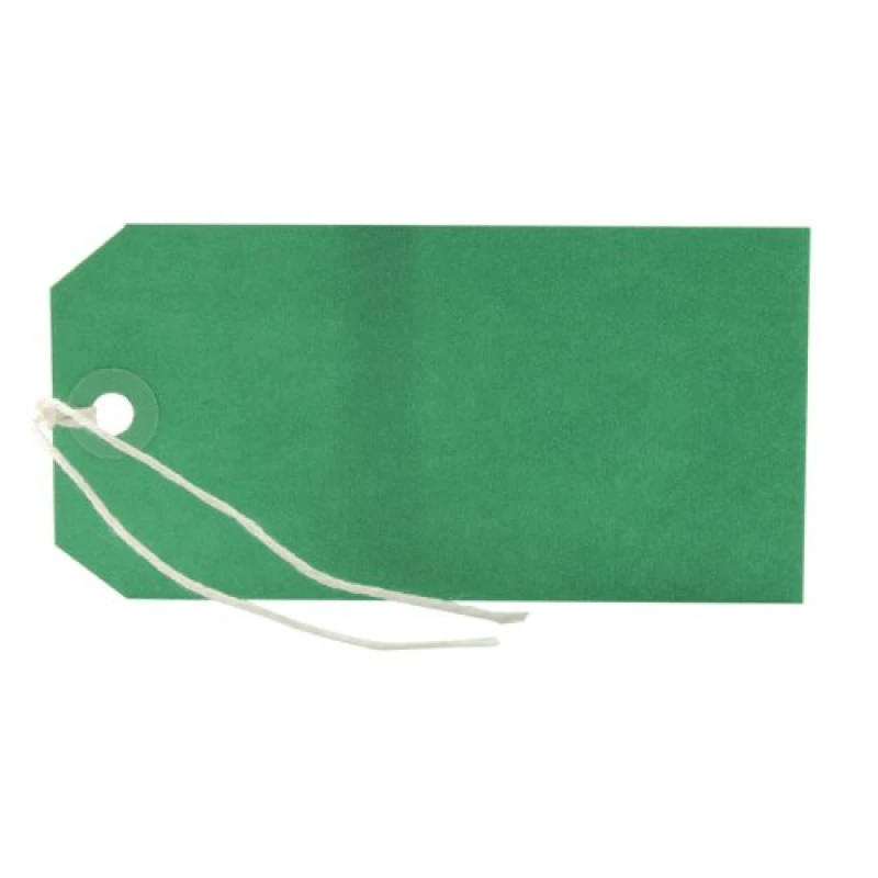 Image of Value Strung Tag 120 x 60mm Green (1000 Pack) KF01624