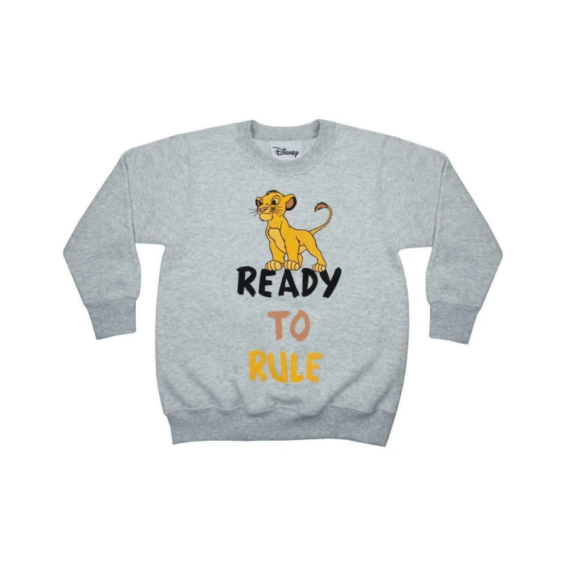 Image of Disney Sweatshirt Grey