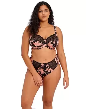 Image of Elomi Morgan Full Fit Briefs Watercolour