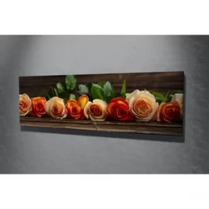 Image of PC031 Multicolor Decorative Canvas Painting