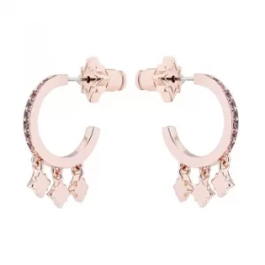 Image of Bozena Pave Hoop Earrings