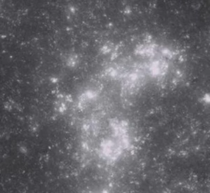 Image of Art For The Home Constel Celestial Mural Wallpaper Paper