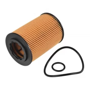 Image of Oil Filter ADH22117 by Blue Print