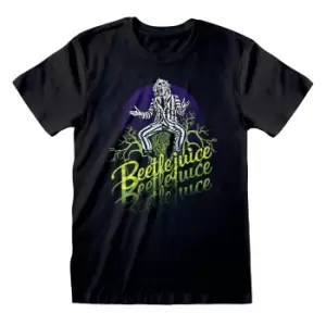 Image of Beetlejuice Unisex Adult Triple B T-Shirt (M) (Black)