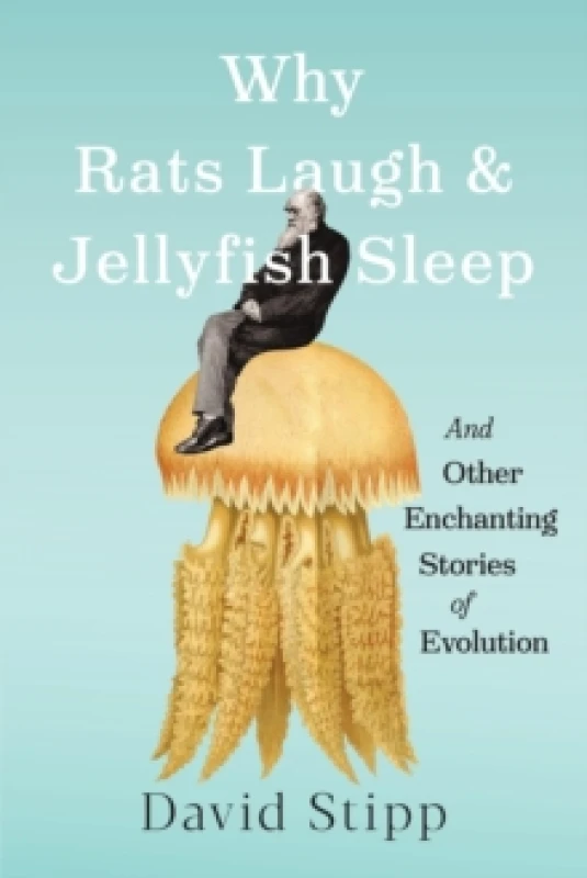 Image of Why Rats Laugh and Jellyfish Sleep : and Other Enchanting Stories of Evolution Hardback