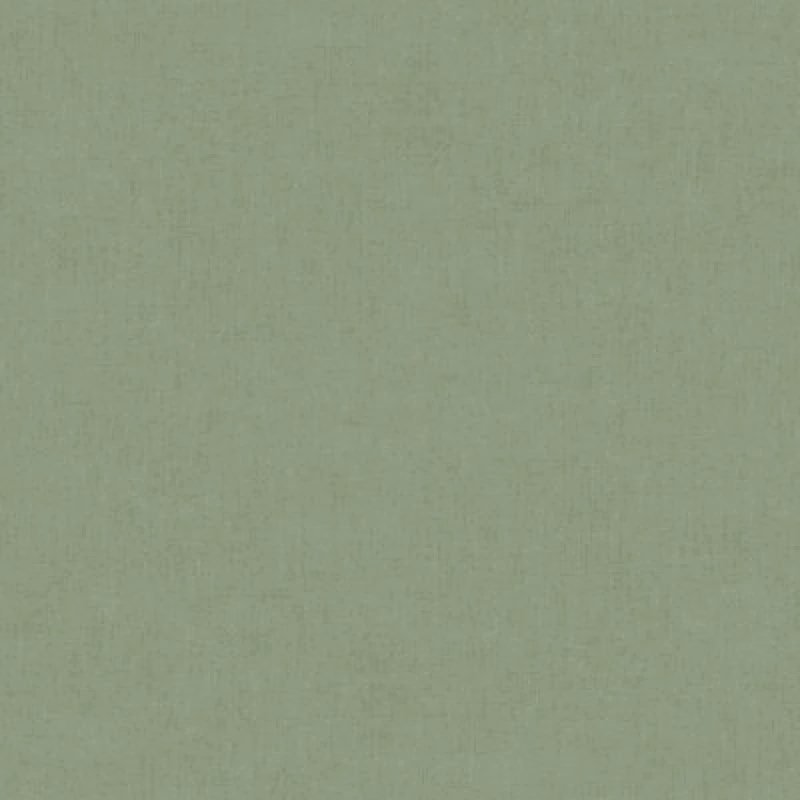 Image of Grandeco Varadero Plain Plaster effect Blown Vinyl Wallpaper Green unisex